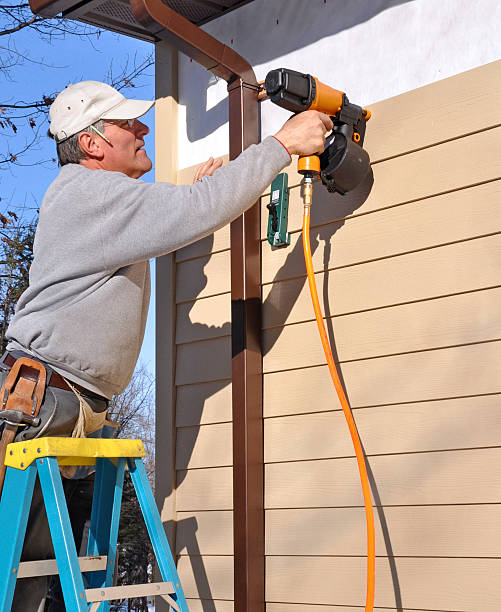 Best Siding Painting and Refinishing  in Hornsby Bend, TX